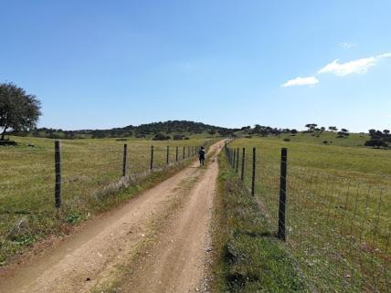 Herdade Do Gizo - Casa Reis Cuba Eksteriør billede